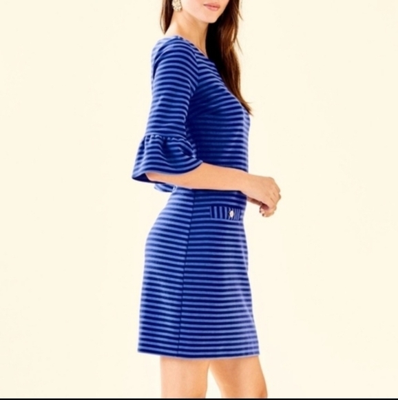 Lilly Pulitzer Alden Dress in Blue Grotto Ottoman Stripe Size  XXS - Picture 3 of 9
